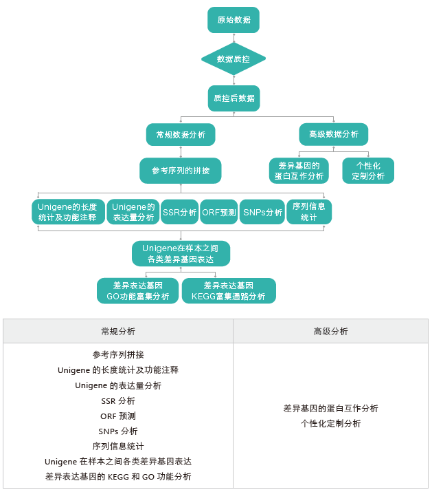 转录组测序-生信分析流程（无参）- ■澳门十大棋牌排行榜最新■澳门十大棋牌排行榜推荐 