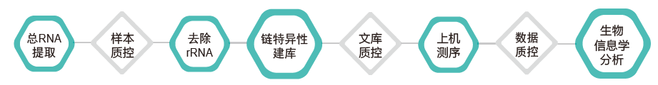 长链非编码RNA（lncRNA）测序-技术路线- ■澳门十大棋牌排行榜最新■澳门十大棋牌排行榜推荐 