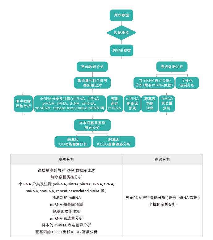 小RNA（small RNA）测序-生信分析流程- ■澳门十大棋牌排行榜最新■澳门十大棋牌排行榜推荐 