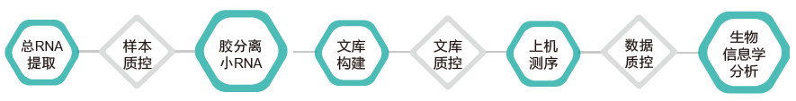 小RNA（small RNA）测序-技术路线- ■澳门十大棋牌排行榜最新■澳门十大棋牌排行榜推荐 