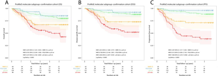 ProMisE 对EC队列（n = 319）进行Kaplan-Meier生存分析_子宫内膜癌的分子分型_ ■澳门十大棋牌排行榜最新■澳门十大棋牌排行榜推荐 